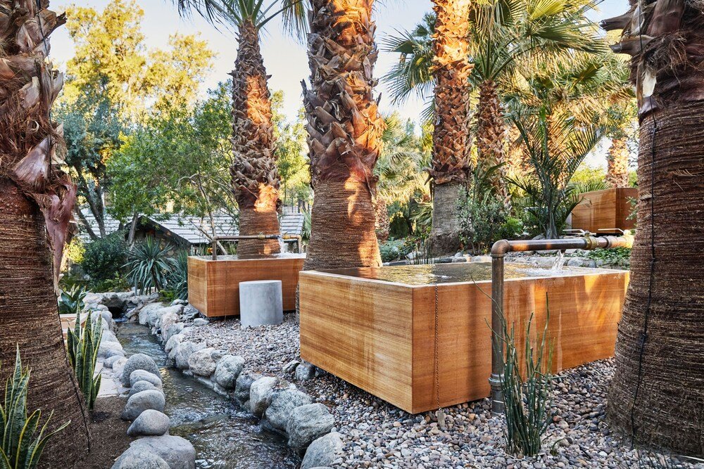 Serene outdoor area with palm trees and a small water feature
